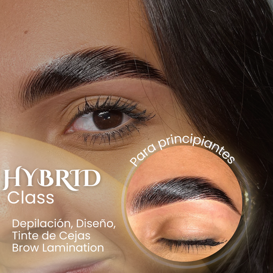 HYBRID BROW CLASS)